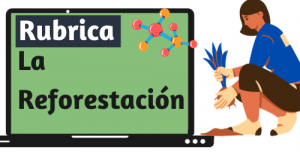 Rubrica sobre la Reforestación