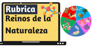 Rubrica sobre Reinos de la Naturaleza