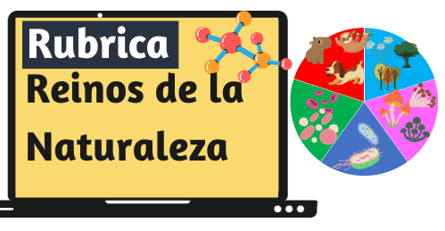 Rubrica de Reinos de la Naturaleza